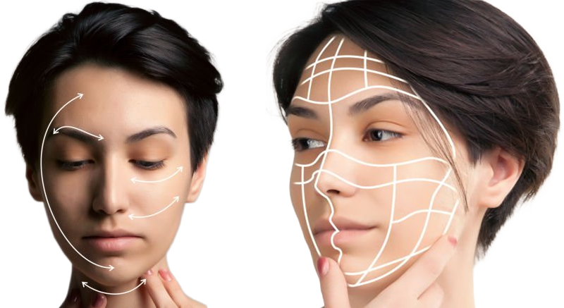 Two side-by-side portraits illustrating the contrast principle: the left face has curved arrows showing where light and shadow travel, the right face is overlaid with a structural grid showing the planes of the cheek, jaw and brow